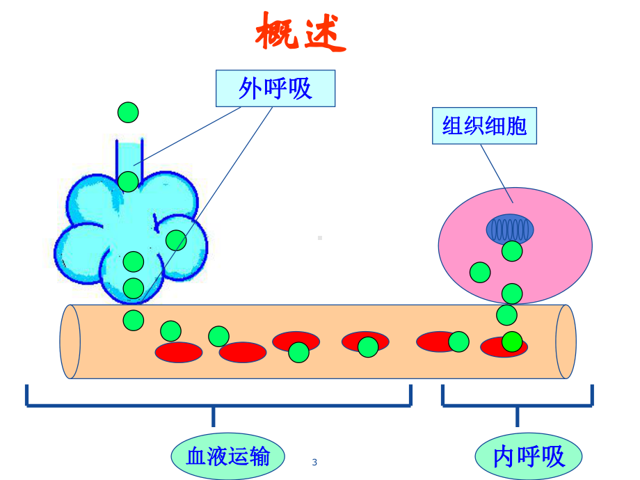 呼吸衰竭RespiratoryFailure课件.ppt_第3页