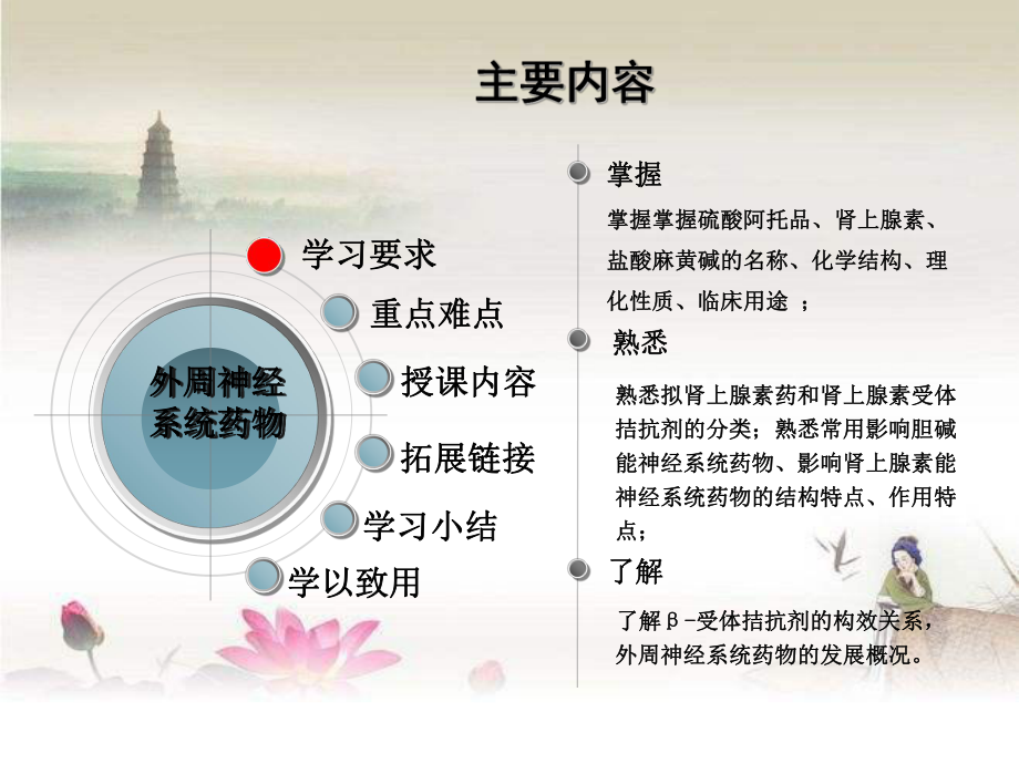 外周神经系统药物-课件.ppt_第2页