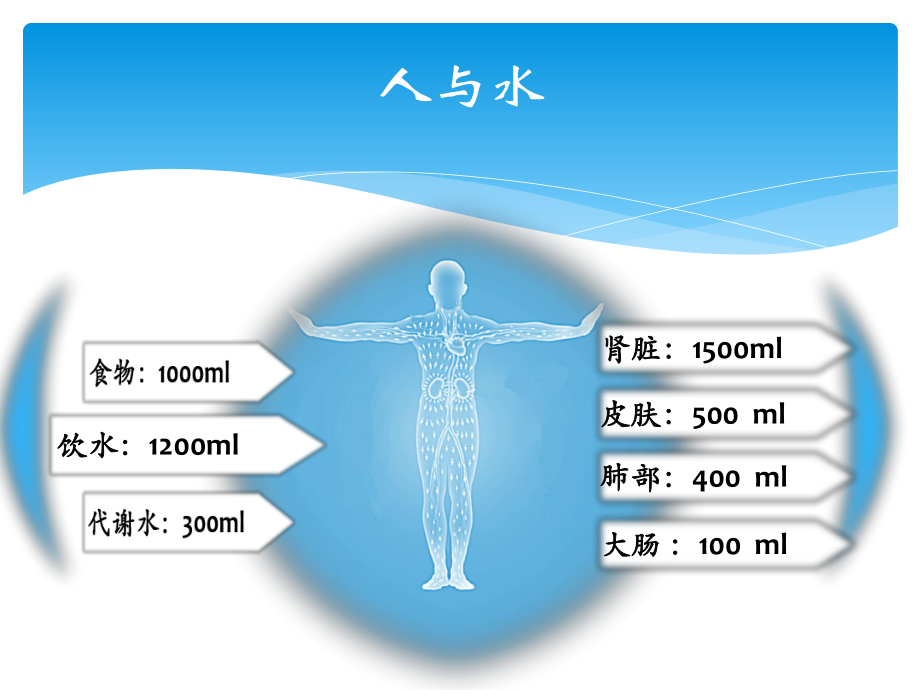 干体重的认识课件.ppt_第2页