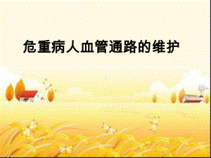 危重病人血管通路的维护课件.ppt