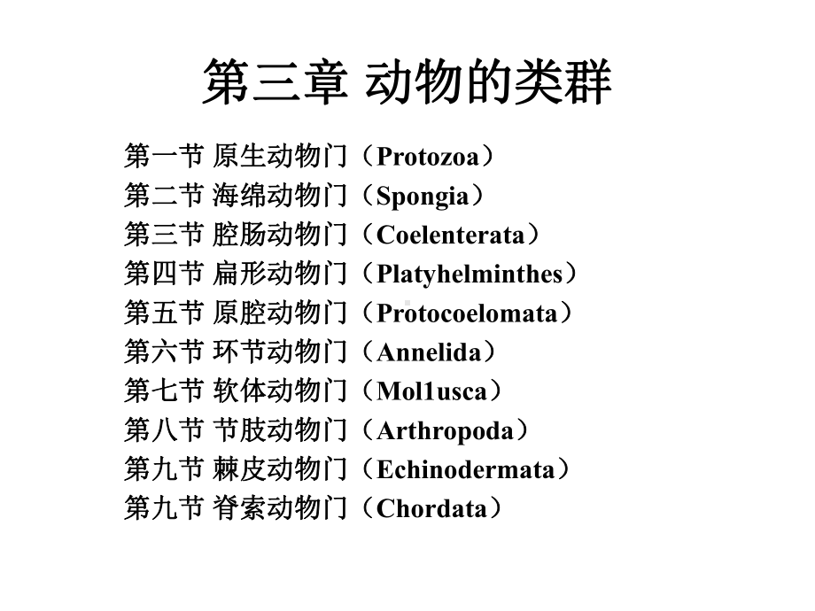 动物的基本类群课件.ppt_第1页