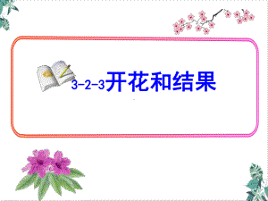 初中生物人教版开花和结果课件.ppt