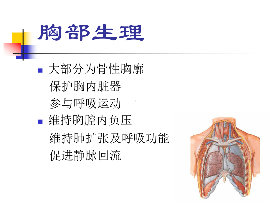 外科学-胸部损伤课件.ppt_第2页