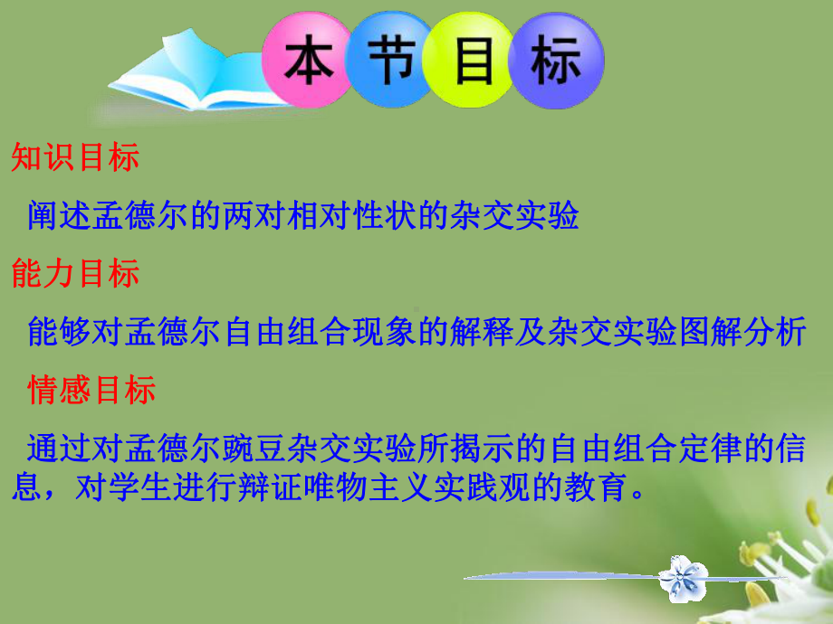 孟德尔豌豆杂交实验(二)精选教学课件.ppt_第3页