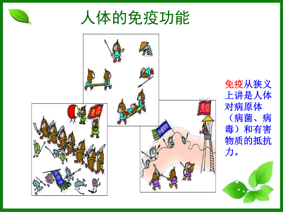 免疫课件-苏教版.ppt_第2页