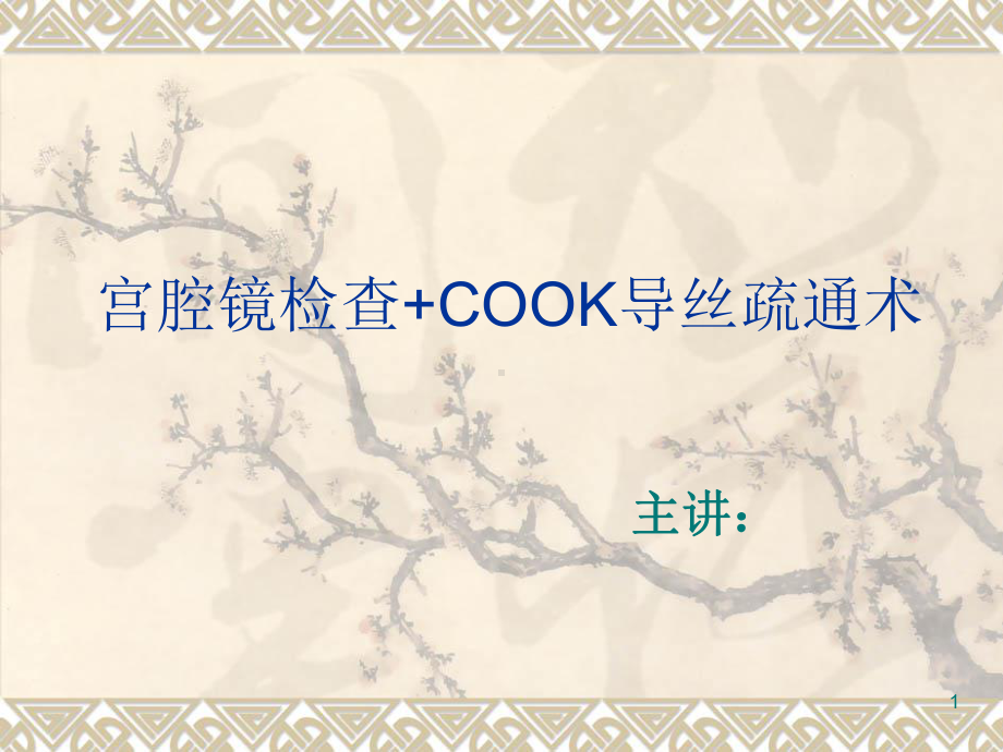 宫腔镜检查COOK导丝课件.ppt_第1页