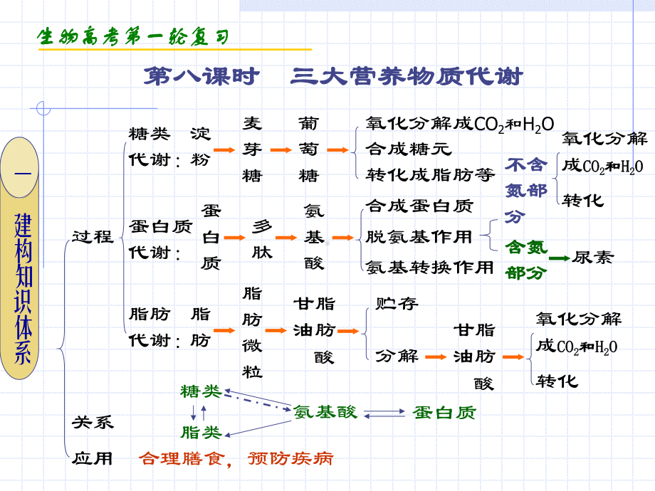 建构知识体系课件.ppt_第2页