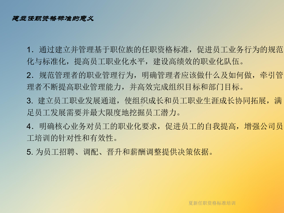 夏新任职资格标准培训课件.ppt_第3页