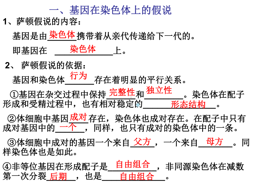 基因在染色体上和伴性遗传cbs课件.ppt_第3页