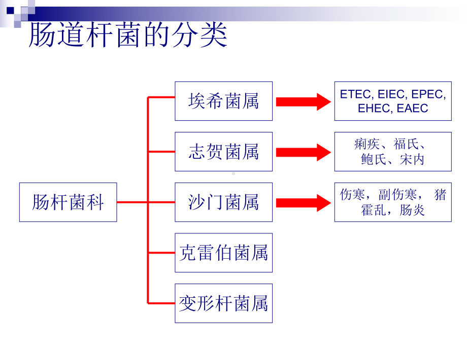 实验-肠道致病菌的分离鉴定课件.ppt_第3页