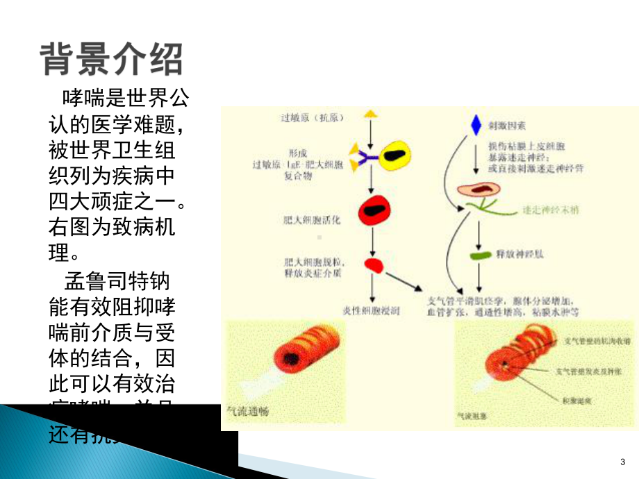 孟鲁司特钠的合成课件.ppt_第3页