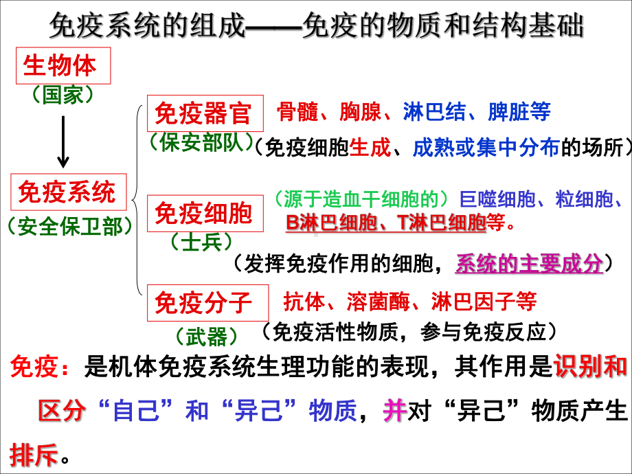 动物体的细胞识别和免疫课件.ppt_第2页