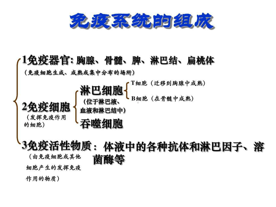 免疫系统的组成23张课件.ppt_第1页