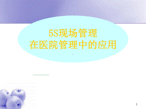 医院5S管理培训-课件.ppt