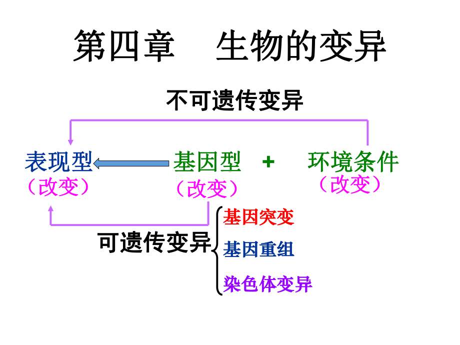 基因突变课件new.ppt_第2页