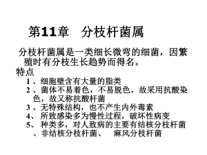 医学微生物学课件第11章分枝杆菌属.ppt