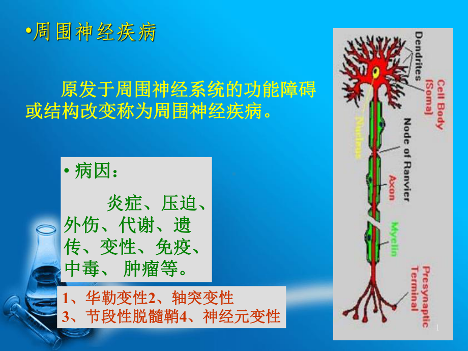 原发于周围神经系统的功能障碍课件.ppt_第1页