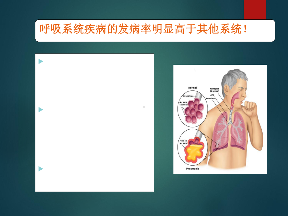 儿科呼吸系统疾病诊疗及护理进展课件.ppt_第2页