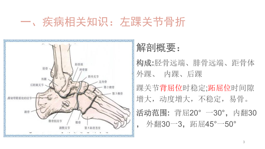 左踝关节骨折个案护理查房医学课件.pptx_第3页