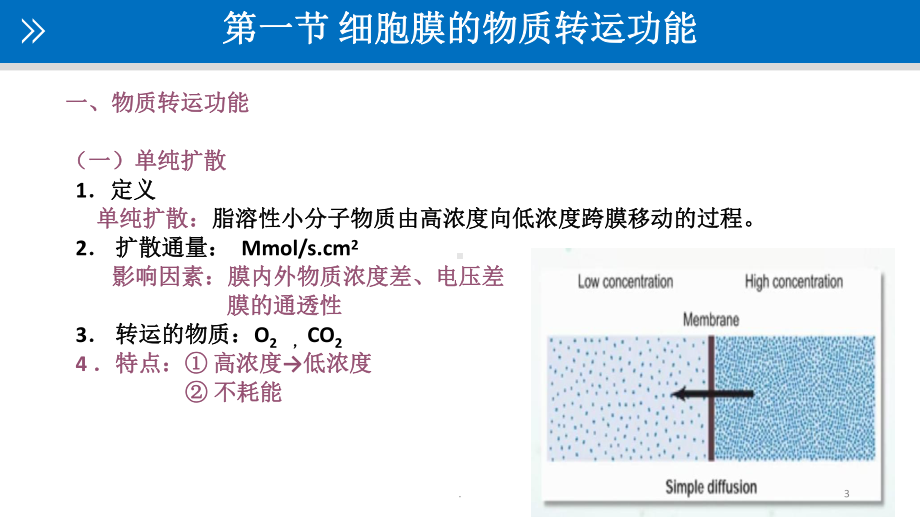 医护生理学课件.pptx_第3页