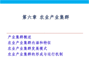 农业产业集群课件.ppt