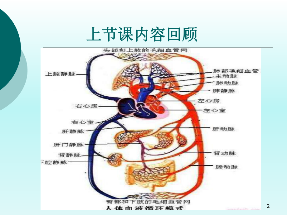 急性左心衰竭急救护理课件.ppt_第2页