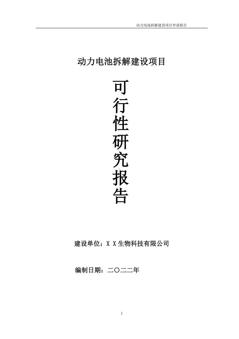 动力电池拆解项目可行性研究报告备案申请模板.doc_第1页