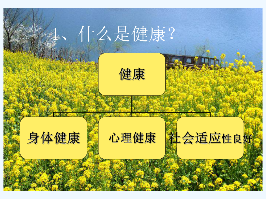 公民健康素养讲座课件.ppt_第2页