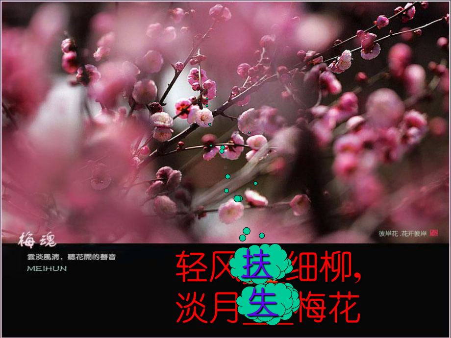 咬文嚼字之炼字课件.ppt_第2页