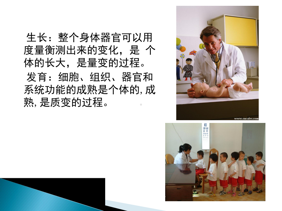 学前儿童身体生长发育的规律课件.ppt_第2页