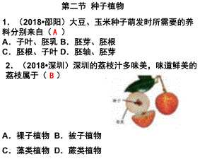 初中生物人教版种子植物-1课件.ppt