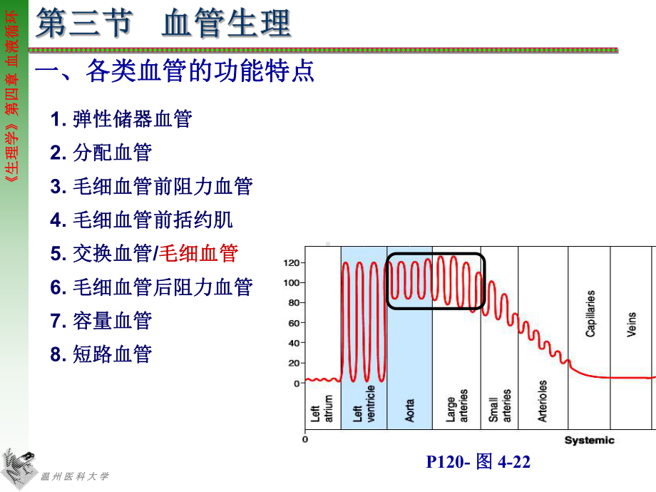 四章血液循环(血管生理)课件.ppt_第1页