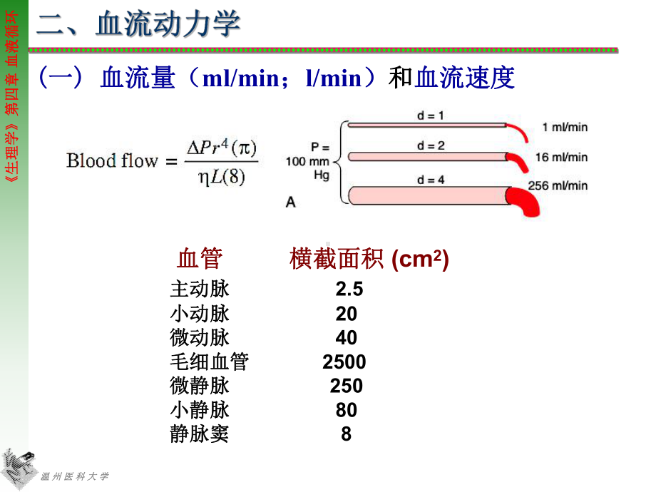 四章血液循环(血管生理)课件.ppt_第2页