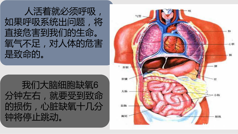 尘肺病的危害与预防学习课件.pptx_第3页