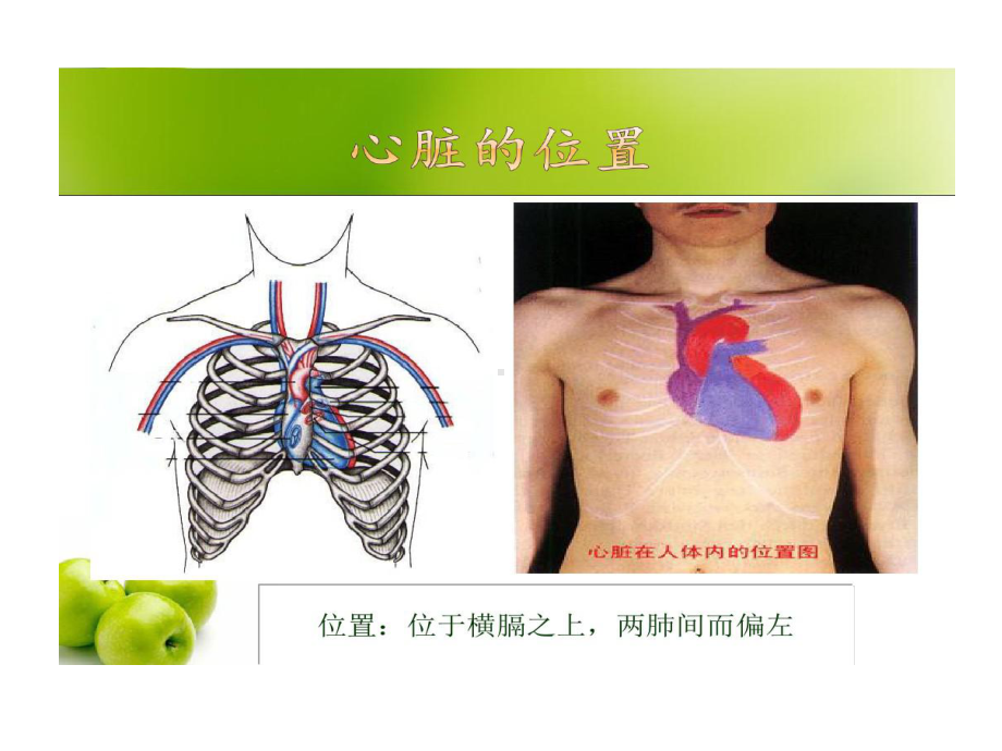 冠心病定义诊断发病机制共31张课件.ppt_第2页