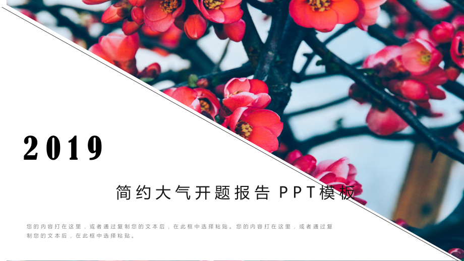 开题报告-简-约-大-气-开-题-报-告-P-P-T-模-板27p课件.pptx_第1页