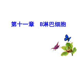 医学免疫学第十一章-B淋巴细胞课件.ppt