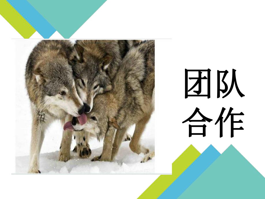 团队合作管理教材课件.ppt_第1页