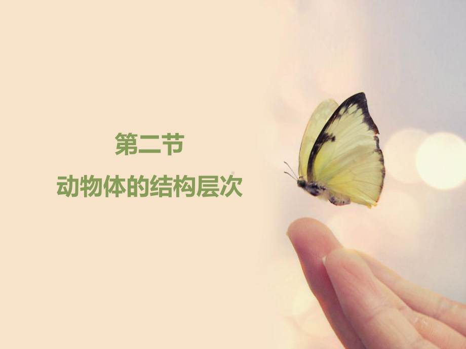 动物体的结构层次(24)课件.ppt_第1页