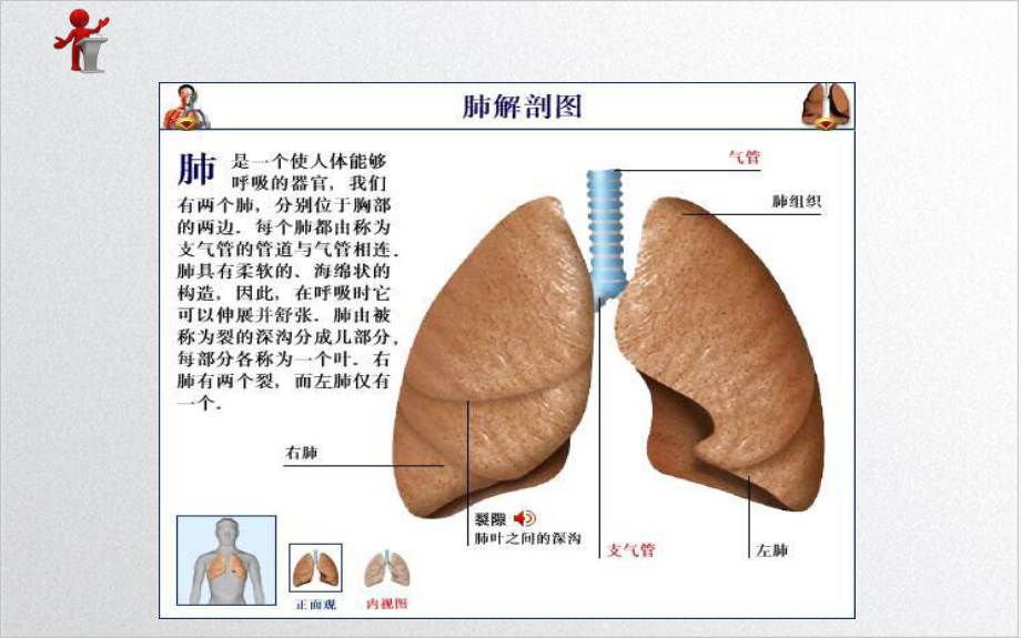 十三章第三节肺癌病人的护理参考课件.ppt_第3页