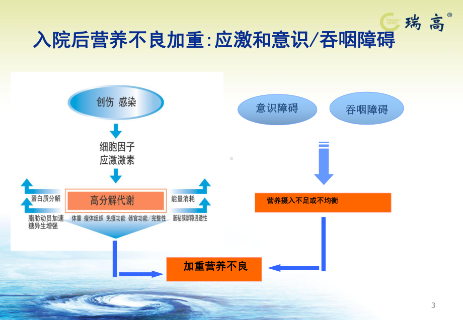 呼吸瑞高课件.ppt_第3页