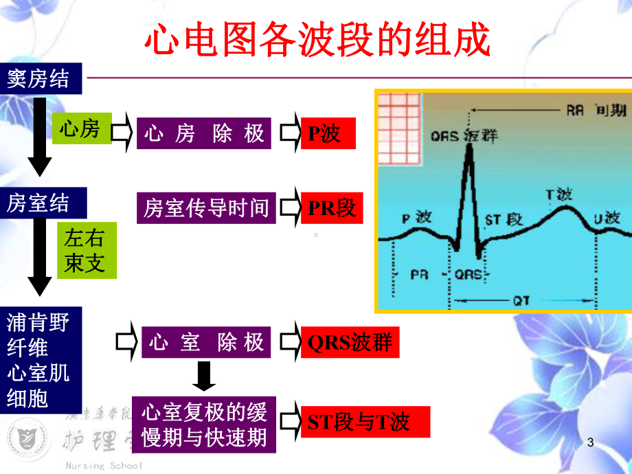 内科护理学心律失常病人的护理课件.ppt_第3页