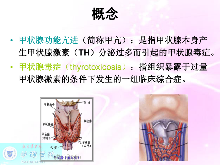 内科护理学甲状腺功能亢进症病人护理课件.ppt_第3页