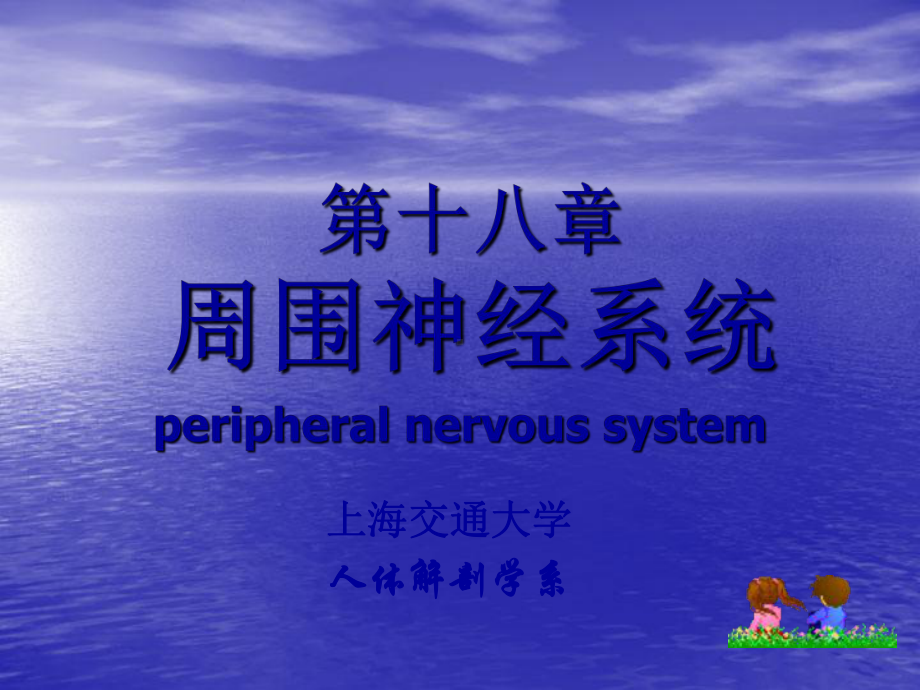 周围神经系统解剖学课件.ppt_第1页