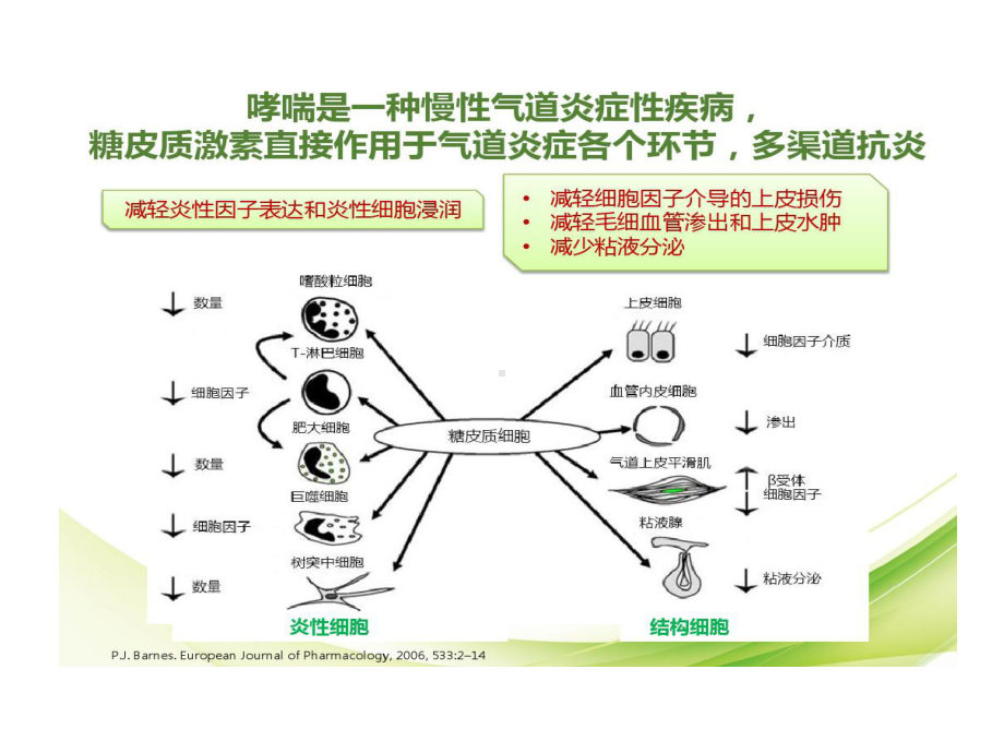 急性期幻灯8不同吸入型糖皮质激素药理学特性审批通过批注解说词共30张课件.ppt_第2页