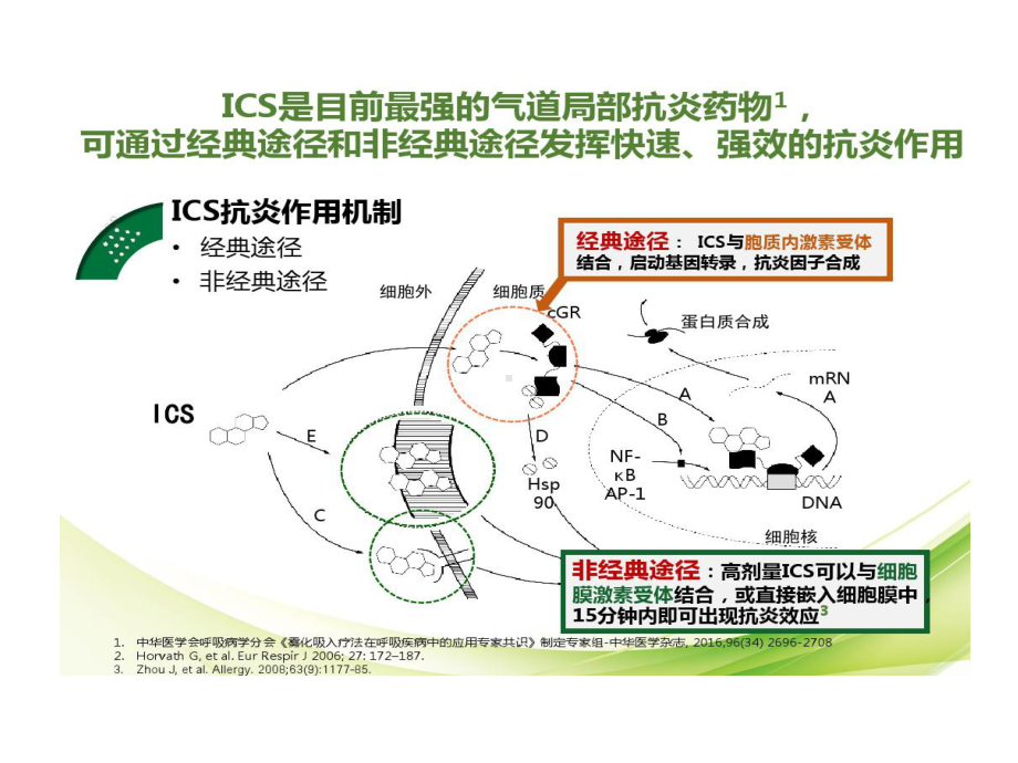 急性期幻灯8不同吸入型糖皮质激素药理学特性审批通过批注解说词共30张课件.ppt_第3页