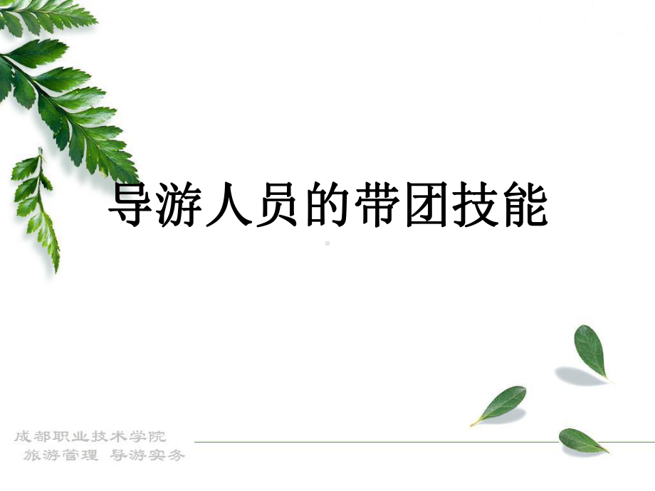 导游人员带团技能课件.ppt_第1页