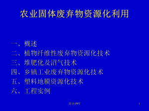 典型固体废物的处理与利用-农业固体废弃物资源化利用课件.ppt