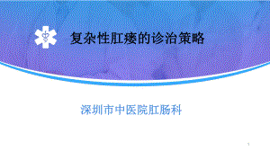 复杂性肛瘘的诊治策略课件.ppt