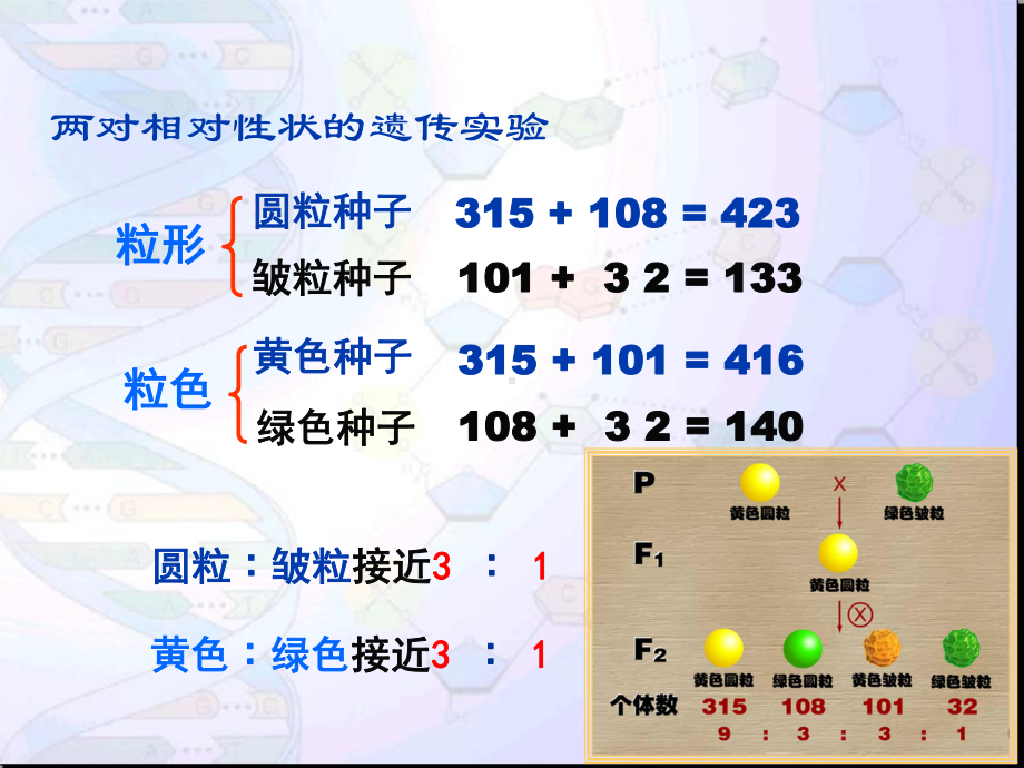 孟德尔豌豆杂交实验课件二-公开课一等奖课件.ppt_第3页